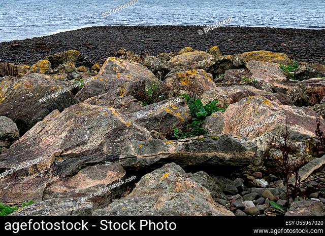 Rocks and pebbles on a coastal shingle beach