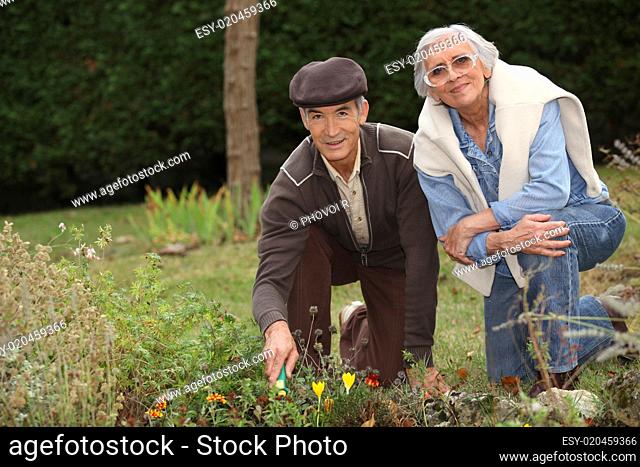 a mature couple gardening