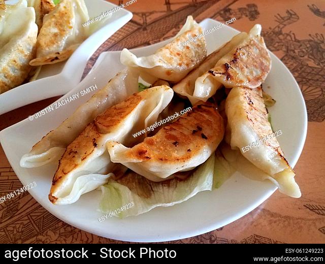 Chinese fried dumplings on plate on table