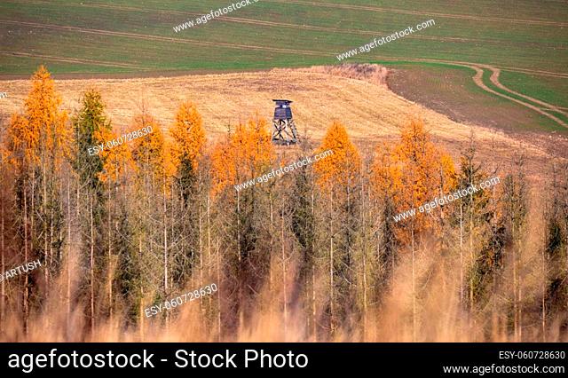 Wooden Hunters hunting tower in countryside landscape, Fall autumn season, Czech Republic, Highland, European Scenery