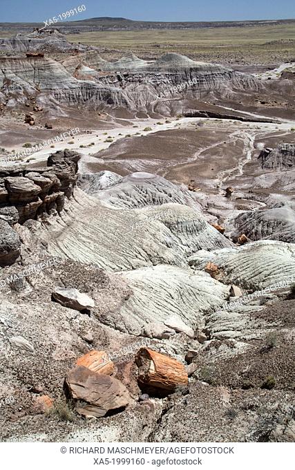 USA, Arizona, Petrified Forest National Park, Blue Mesa, Blue Mesa Trail, sedimentary layers of bluish bentonite clay with petrified wood