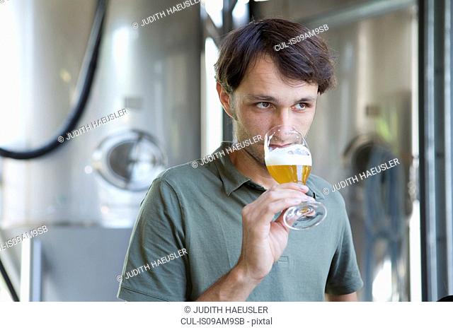Male brewer tasting glass of beer
