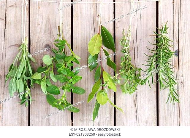 herbs bunches on old wooden wall