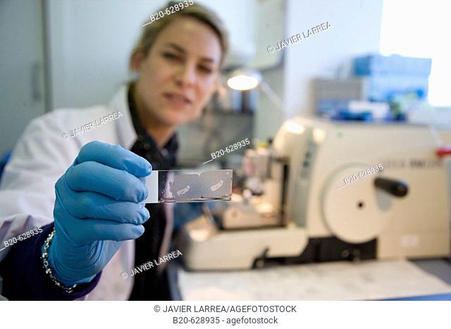 Microtome, R+D department, biopharmaceutical lab, development and production of innovative drugs using adult stem cells, Cellerix, Grupo Genetrix, Madrid