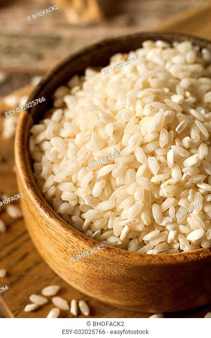 Raw Organic Arborio Rice in a Bowl