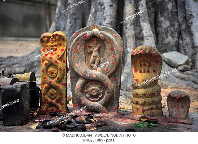 statues at Swargeshwara temple , chola period , district Kanchipuram , state Tamil Nadu , India