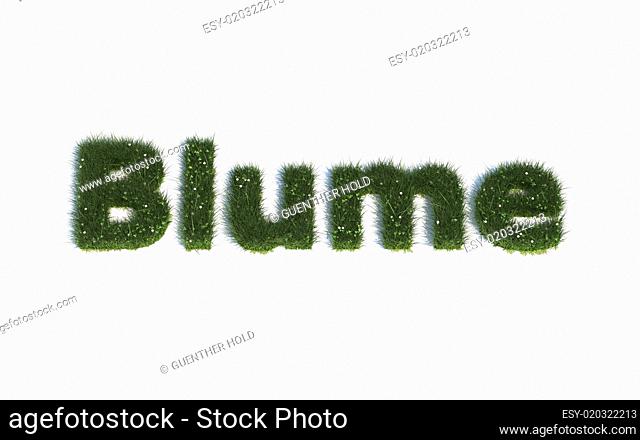 Fonts out of realistic grass