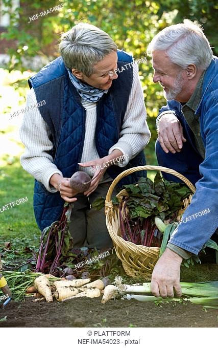 An old couple in the garden, Sweden