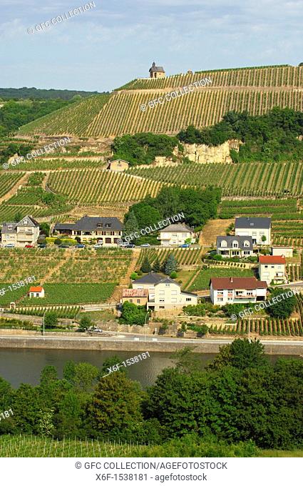 The wine-making municipality of Wormeldange with Luxembourg's premier wine-growing site Wormeldinger Koeppchen in the Moselle valley, Luxembourg