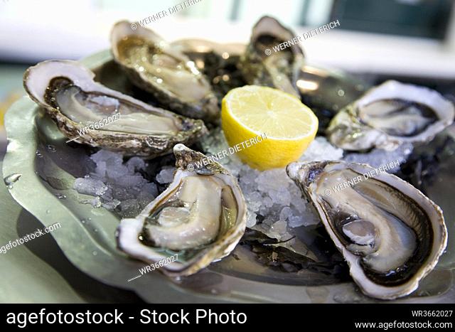 France, Cote d'Azur, Nice, Fresh Oysters