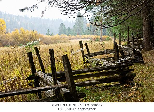Wawona area, Yosemite National Park, California, USA, split rail fence at edge of meadow with cedars, pines, and willows, rainy day, November