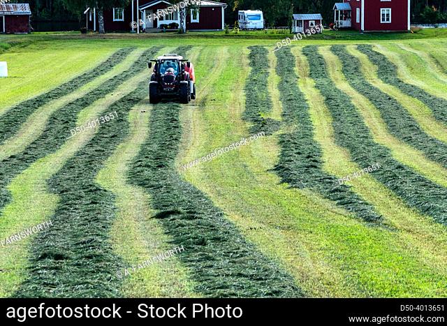 Umea, Sweden A tractor plows a field to make hay bales