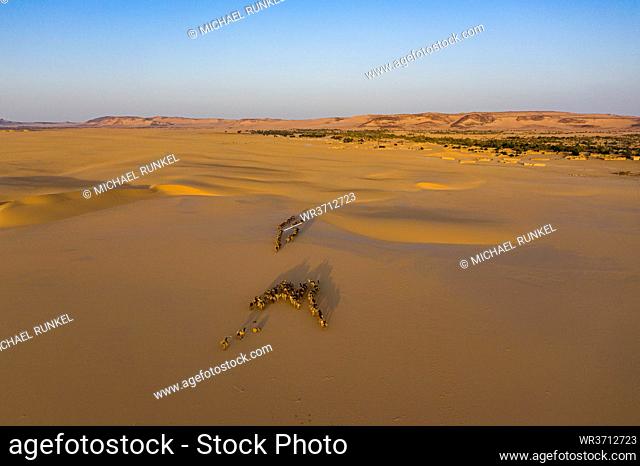 Oasis Fachi, Tenere desert, Niger, West Africa, Africa
