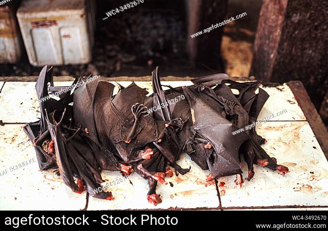 Tomohon, Sulawesi, Indonesia, Asia - Roasted giant fruit bats or flying foxes are offered for consumption at the traditional Extreme Meat Market in Tomohon