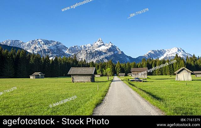 Road through meadow with hay barns, in the background snow-covered mountain peaks in spring, Mieminger Kette with Ehrwalder Sonnenspitze, Ehrwald, Tyrol