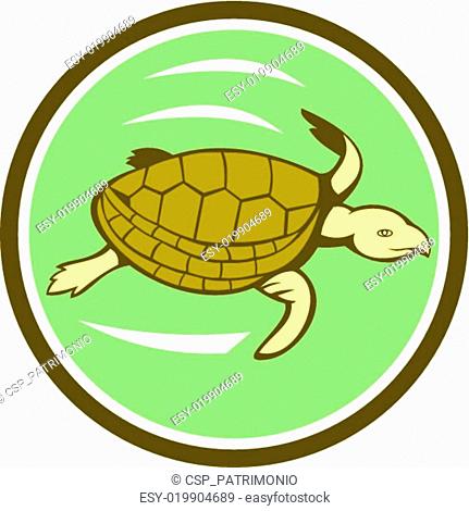 Sea turtle cartoon Stock Photos and Images | agefotostock