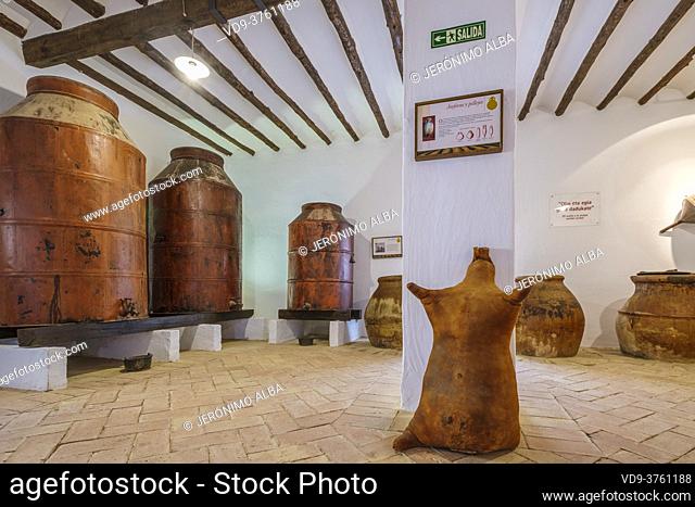 Cellar of jars to store the oil, Museo de la Cultura del Olivo. Museum cultural history of the olive tree, Puente del Obispo