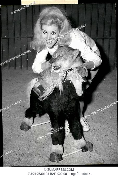 Jan. 01, 1963 - By time it has to start the training, when it wants to become a good circus-lion. The five months old Cairo