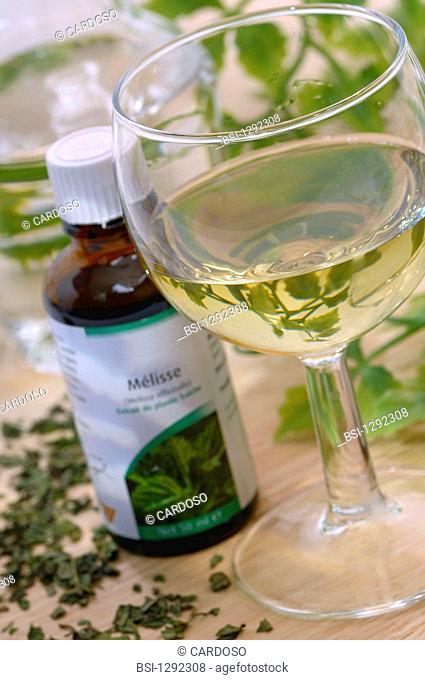 Lemon balm Melissa officinalis is often used as a medicinal plant. It has sedatives, soothing, and digestive vertues. It can be used for sleeping disorders