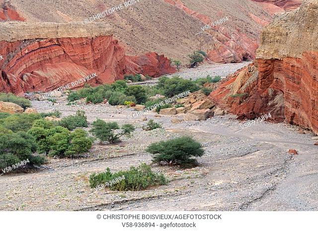 Dry canyon. Danakil depression. Afar region. Ethiopia