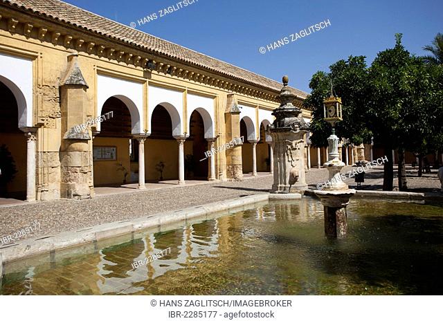 Patio de los Naranjos, Mezquita, Córdoba, Andalusia, Spain, Europe