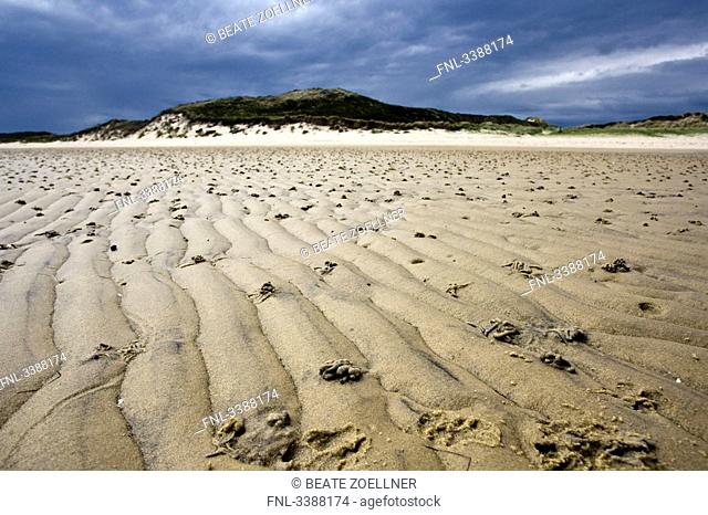 Wadden Sea at low tide, Sylt, Germany