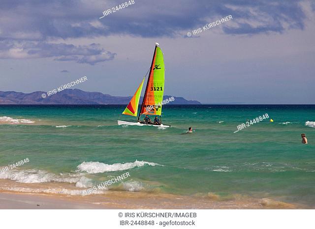 Colorful sailing boats off the beach Jandia Playa, Fuerteventura, Canary Islands, Spain, Europe