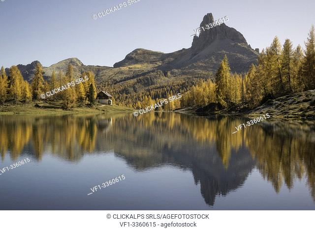 Federa lake in autumn with Becco di Mezzodì on the background, Cortina d Ampezzo, Belluno, Dolomites, Veneto, Italy