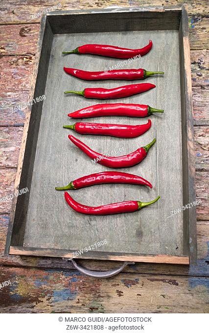 Photographic representation of some spicy and fresh red peppers