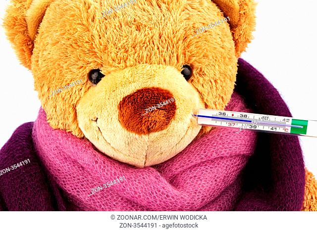Ein Bär aus Plüsch mit einem Fieber Thermometer im Mund. Symbolfoto für Verkühlung, Grippe und Fieber