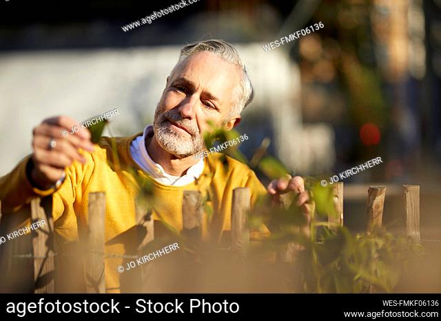 Portrait of mature man looking at plant