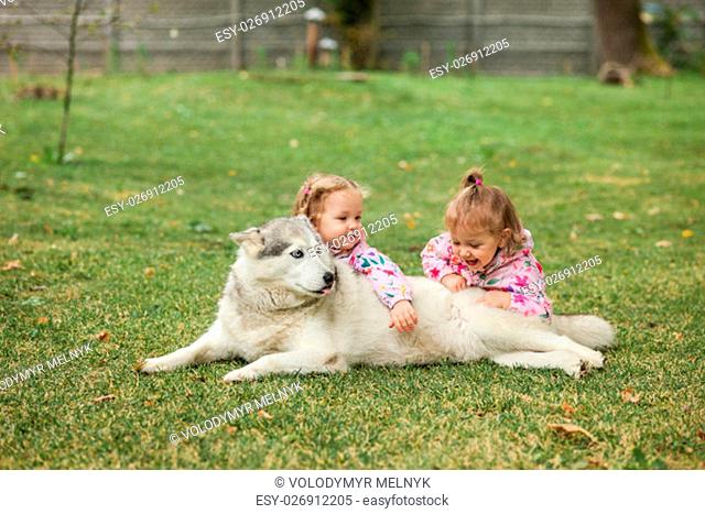 The two little baby girsl playing with dog against green grass in park