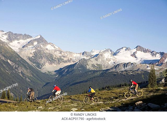 mountain biking in the coast mountains near whistler. British Columbia, Canada