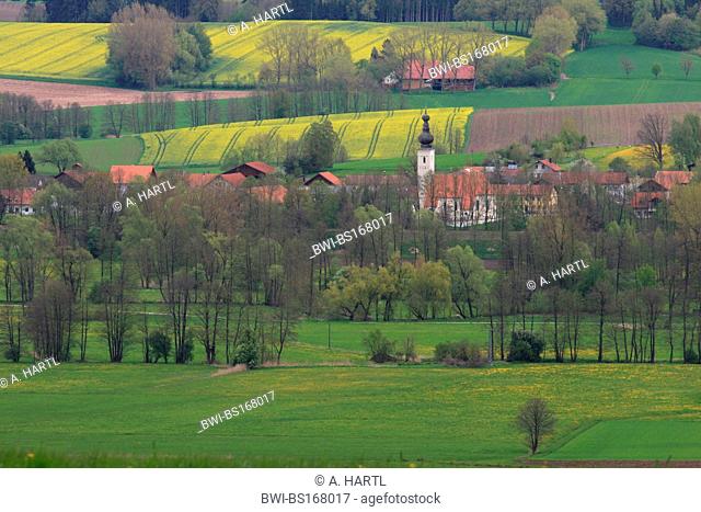 view on a small village and blooming rape fields in spring, Germany, Bavaria, Isental