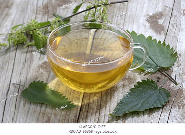 Cup of Nettle tea and leaves Urtica dioica indoor