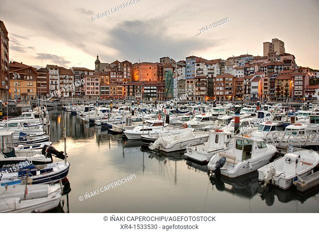 Fishing port of Bermeo, Biosphere Reserve Urdaibai, Bermeo, Biscay, Basque Country, Spain