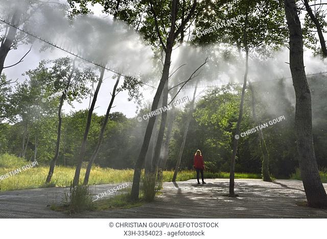 """""Cloud installation"" par Fujiko Nakaya, Pres du Goualoup, Domaine de Chaumont-sur-Loire, departement Loir-et-Cher, region Centre-Val de Loire, France