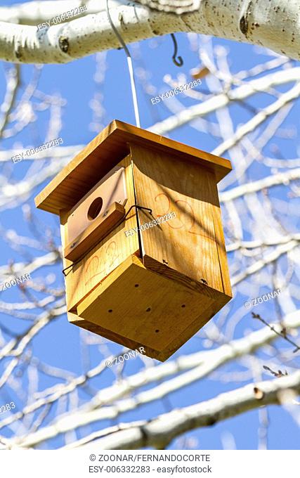 Bird-box.Bird house on the tree in the summer woods