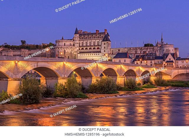 France, Indre et Loire, Loire Valley listed as World Heritage by UNESCO, Amboise, Royal castle of Amboise, Loire river banks, General Leclerc bridge