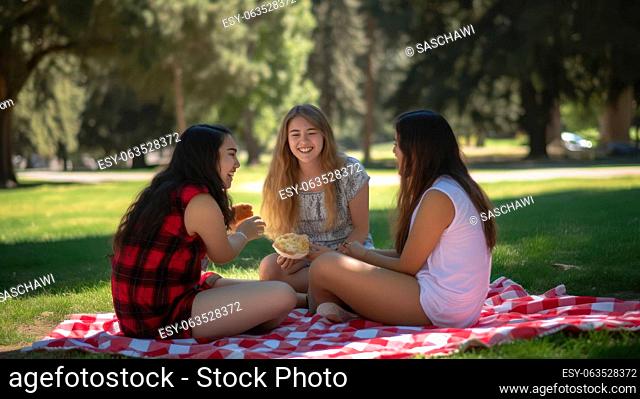 Three young women enjoy a sunny afternoon picnic on a grassy meadow in the park, surrounded by the beauty of nature and the sounds of laughter and fun