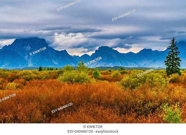Beautiful fall colors and dramatic sky over Grand Teton Mountains - Willow Flats