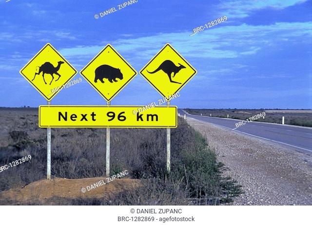 AUSTRALIA, SIGNPOST, CAMEL WOMBAT KANGAROO CROSSING NEXT 96KM, NULLARBOR PLAIN SOUTH AUSTRALIA