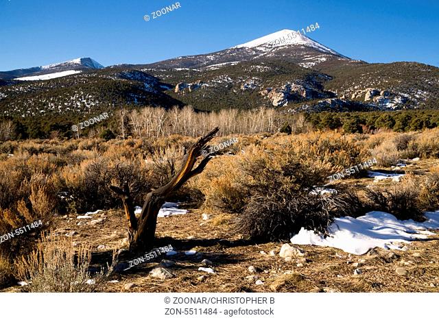 Winter landscape in Great Basin National Park