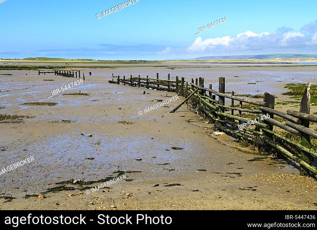 The Skern Mudflats in the Taw and Torridge estuary at Appledore, Devon, England, United Kingdom, Europe