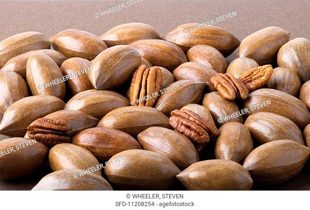Lots of pecan nuts