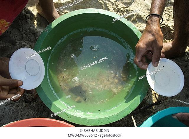 Shrimp fry collectors count Wild Shrimp fry as it collected from the sea in Cox’s Bazar beach April 1, 2007 Cox’s Bazar, Bangladesh A very large wastage is...
