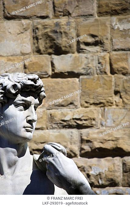 Head of the David Statue by Michelangelo on Piazza della Signoria, Florence, Tuscany, Italy