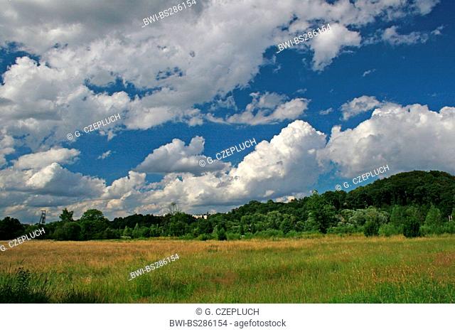 cumulus clouds over nature reserve Heisinger Ruhraue, Germany, North Rhine-Westphalia, Ruhr Area, Essen