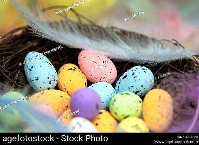 Easter eggs in a bird's nest pastel colores, Easter, spring, Nature concept background macro with colorful feathers