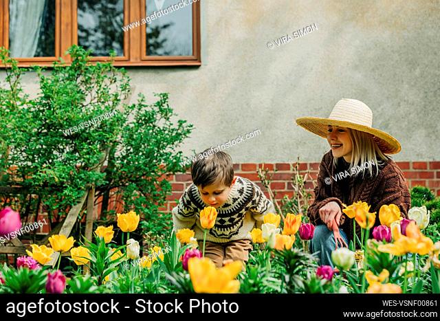Son smelling tulips by mother in garden